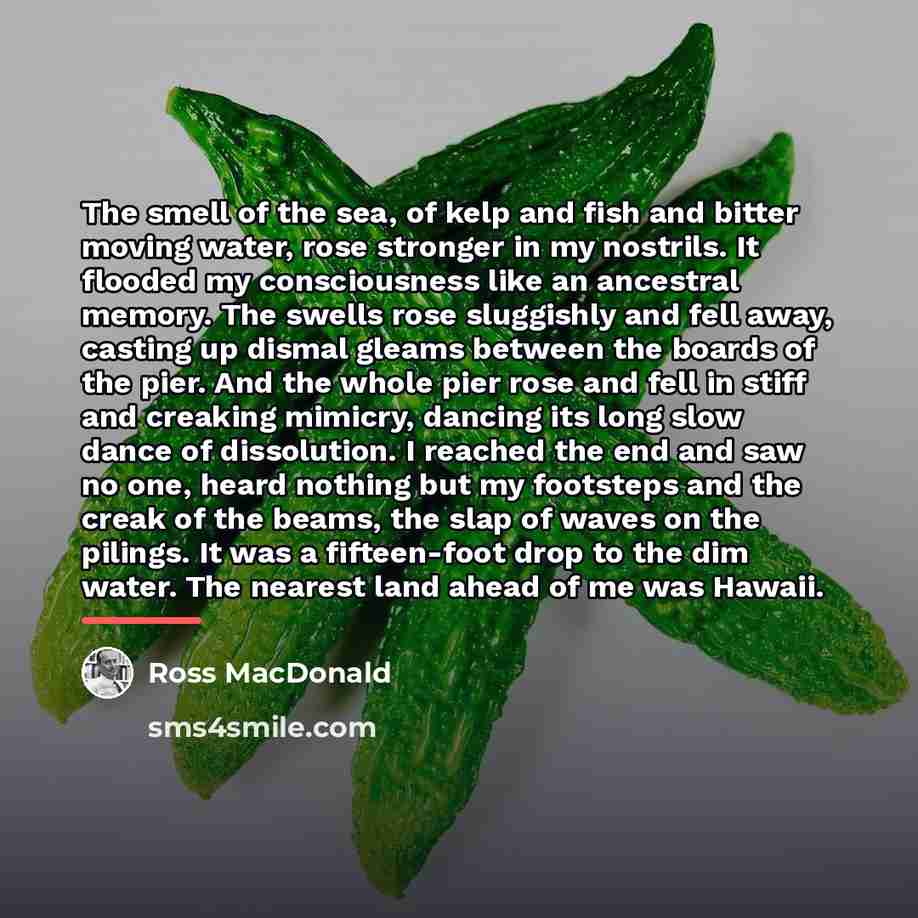 “The smell of the sea, of kelp and fish and…” quote by Ross Macdonald