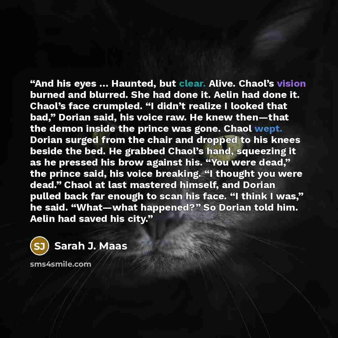 “And his eyes … Haunted, but clear. Alive. Chaol’s vision burned and blurred. She had done it. Aelin had done it. Chaol’s face crumpled. “I didn’t realize I looked that bad,” Dorian said, his voice raw. He knew then—that the demon inside the prince was gone. Chaol wept. Dorian surged from the chair…” quote by Sarah J. Maas