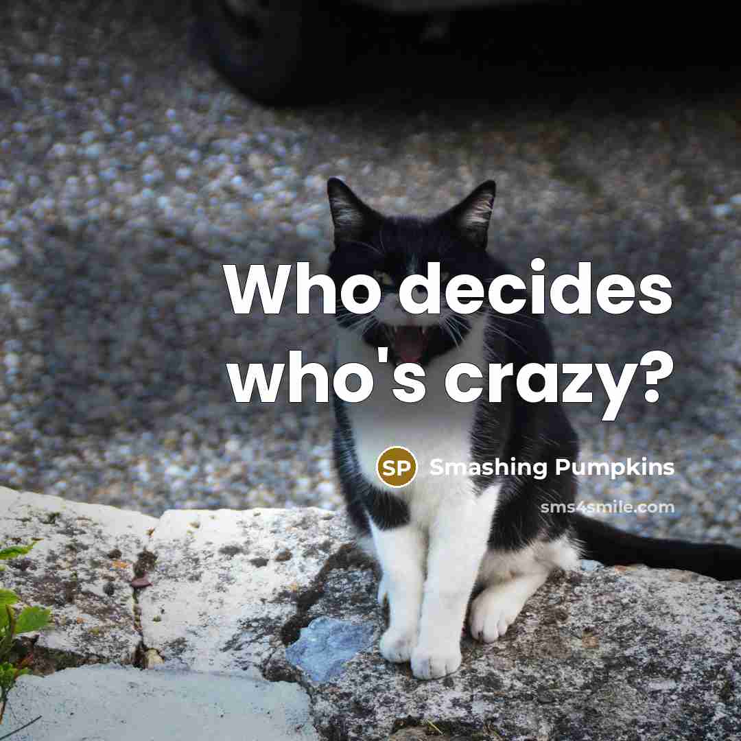 “Who decides who's crazy?” quote by Smashing Pumpkins