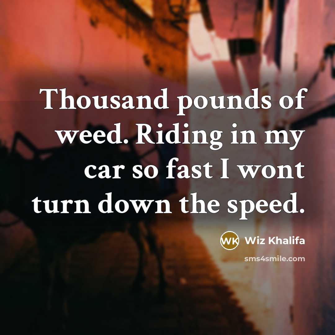 “Thousand pounds of weed. Riding in my car so fast I wont turn down the speed.” quote by Wiz Khalifa