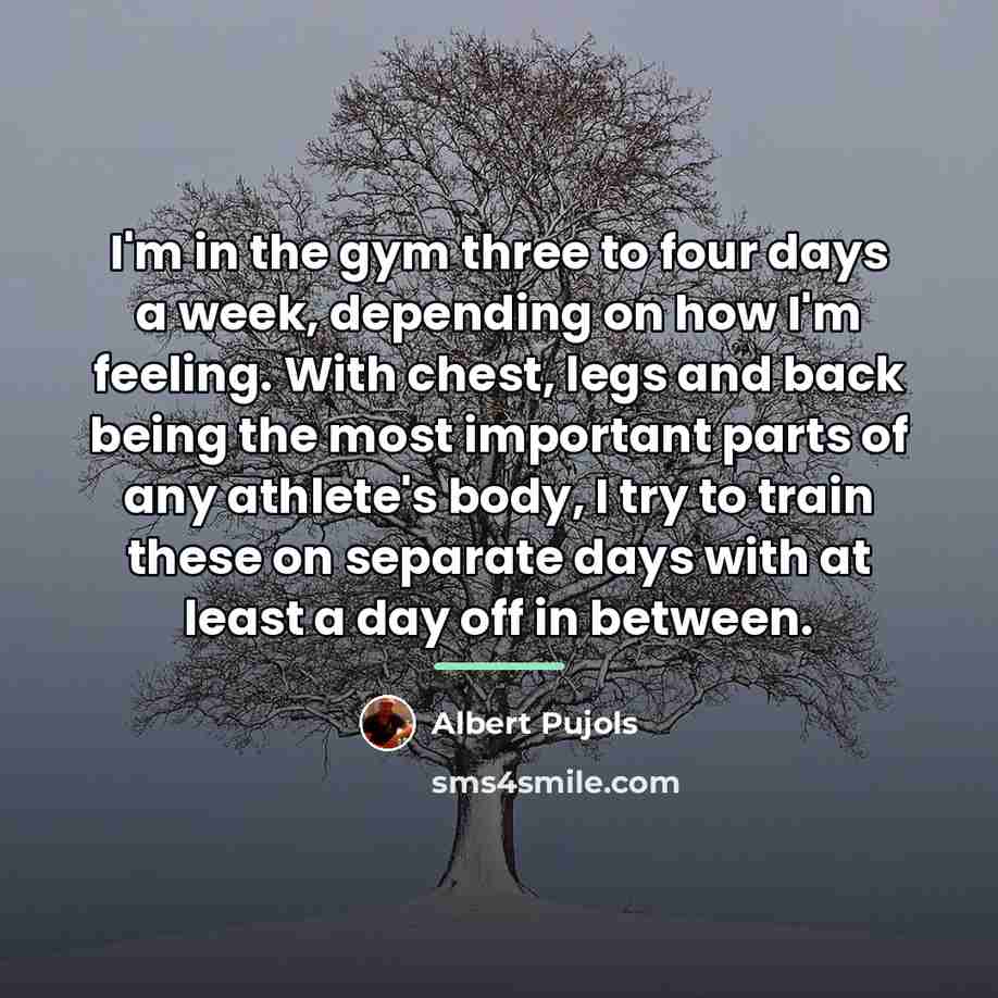 “I'm in the gym three to four days a week,…” quote by Albert Pujols