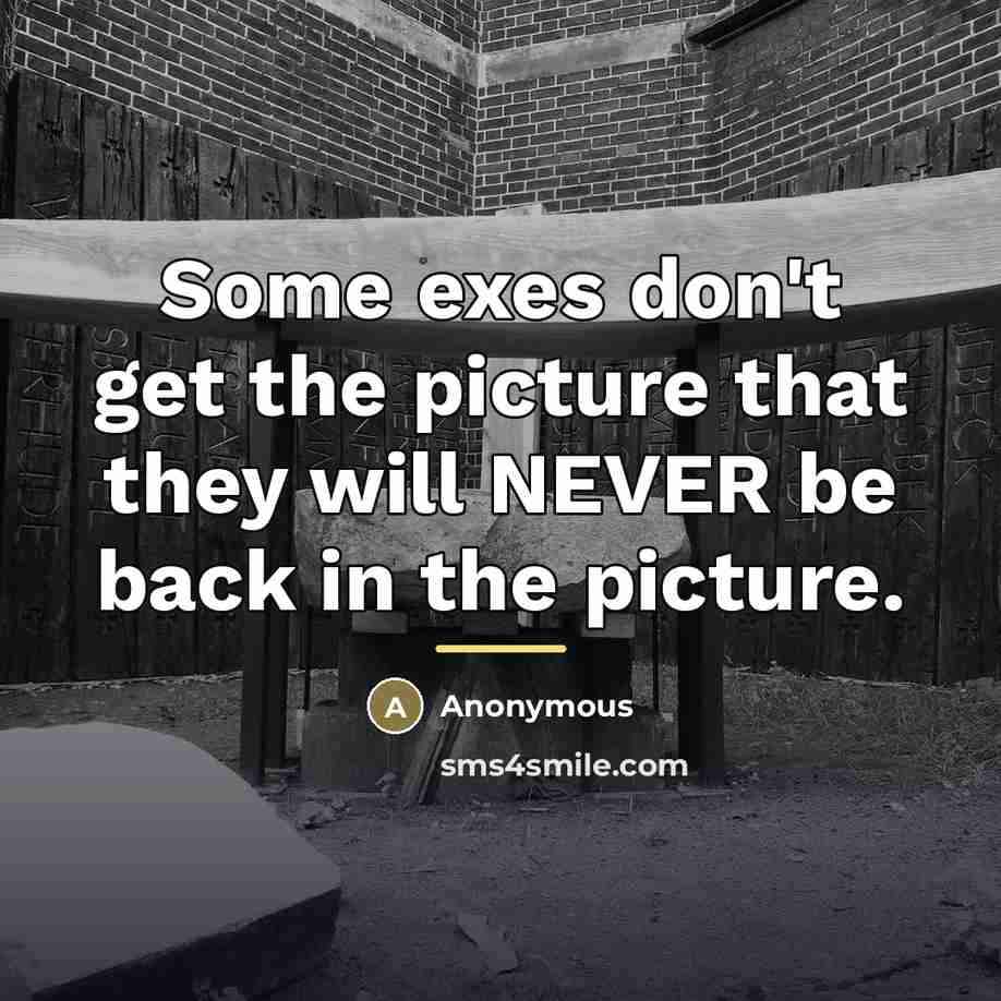 “Some exes don't get the picture that they will NEVER…” quote by Anonymous