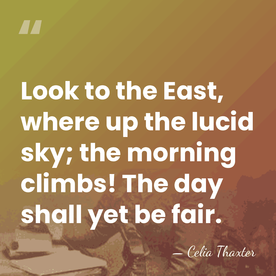 Look to the East, where up the lucid sky; the morning climbs!&hellip; - Celia Thaxter