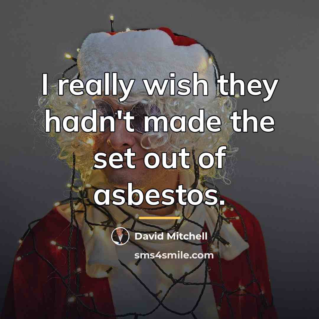 “I really wish they hadn't made the set out of…” quote by David Mitchell