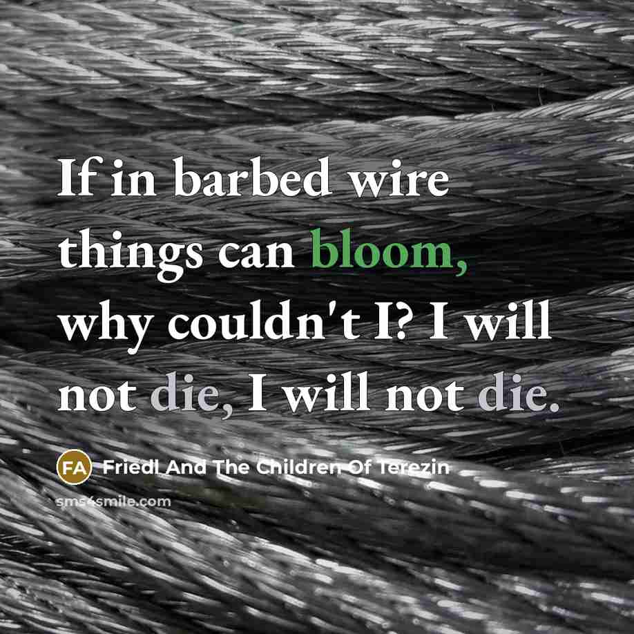 “If in barbed wire things can bloom, why couldn't I?…” quote by Friedl And The Children Of Terezin