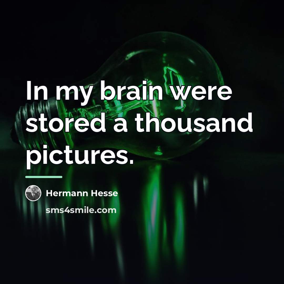 “In my brain were stored a thousand pictures.…” quote by Hermann Hesse