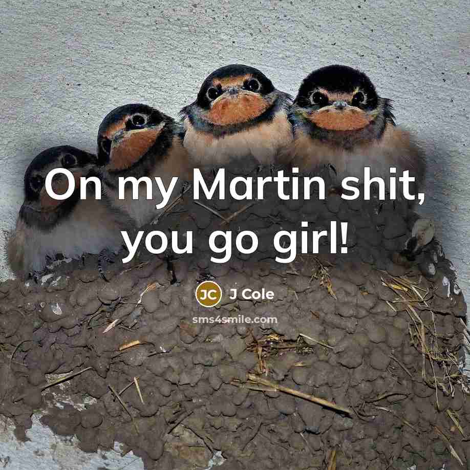 “On my Martin shit, you go girl!” quote by J Cole