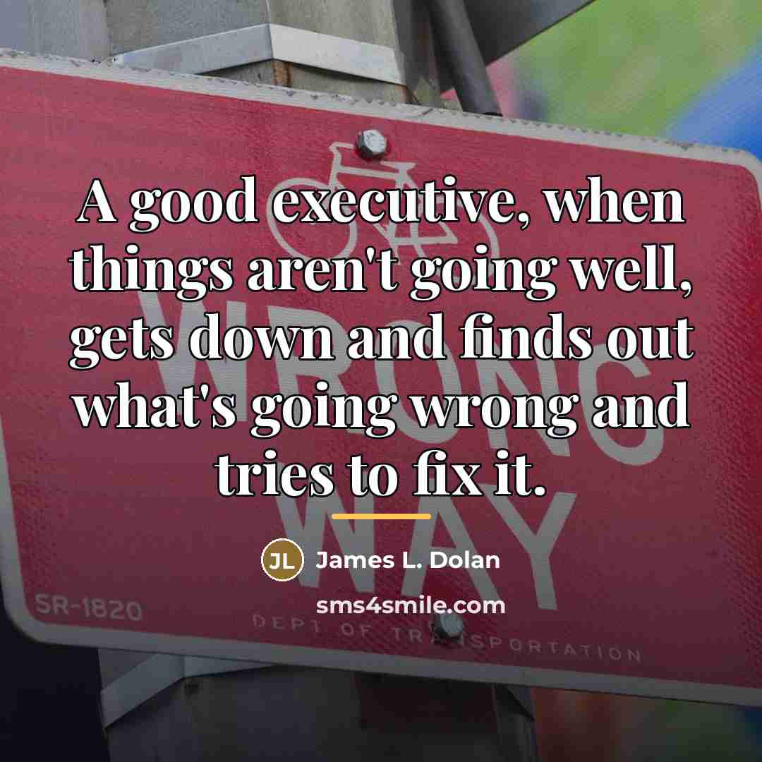“A good executive, when things aren't going well, gets down…” quote by James L. Dolan