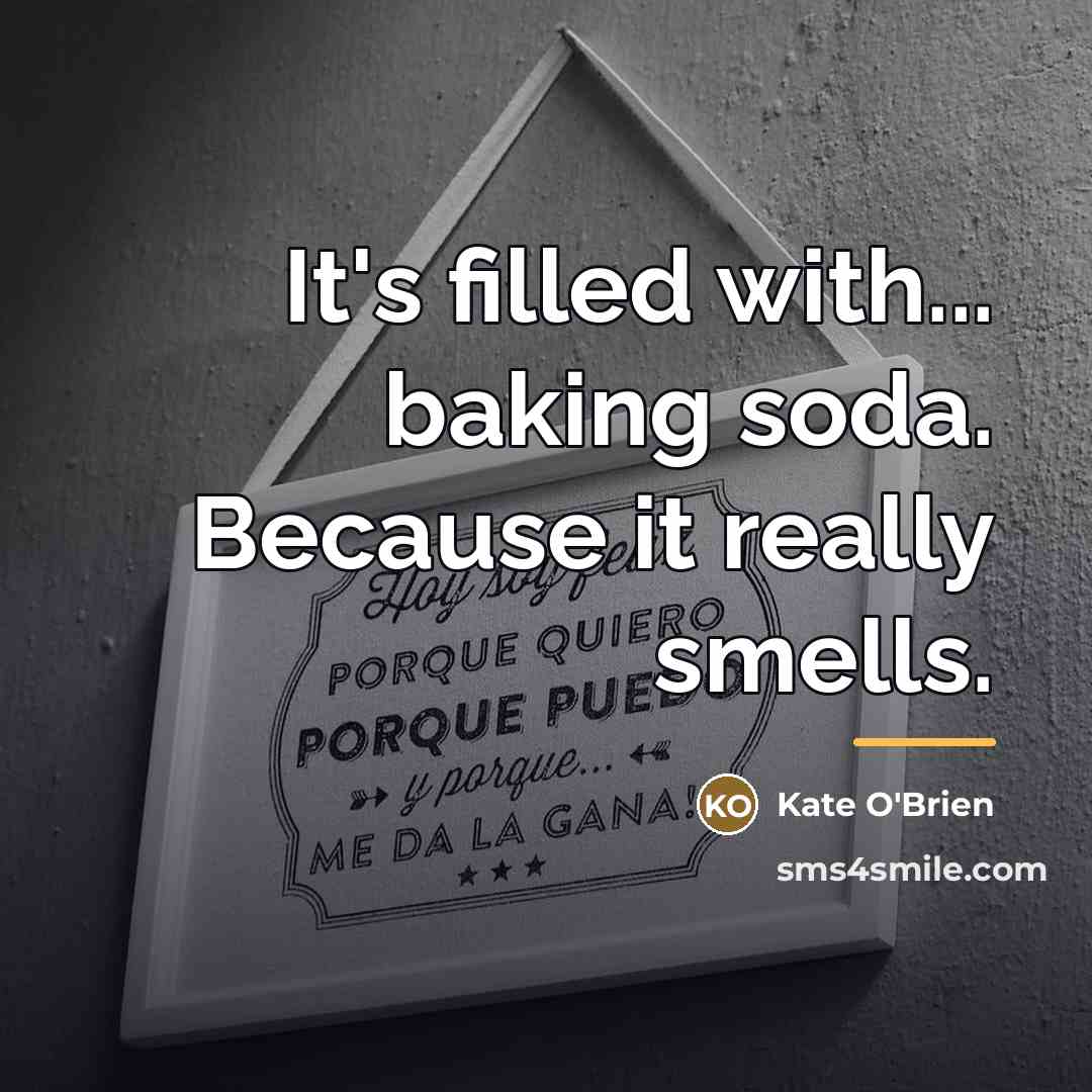 “It's filled with... baking soda. Because it really smells.…” quote by Kate O'Brien
