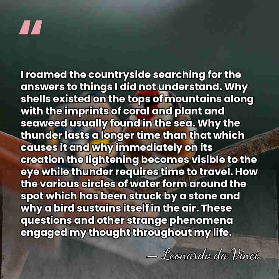 I roamed the countryside searching for the answers to things I did&hellip; - Leonardo da Vinci