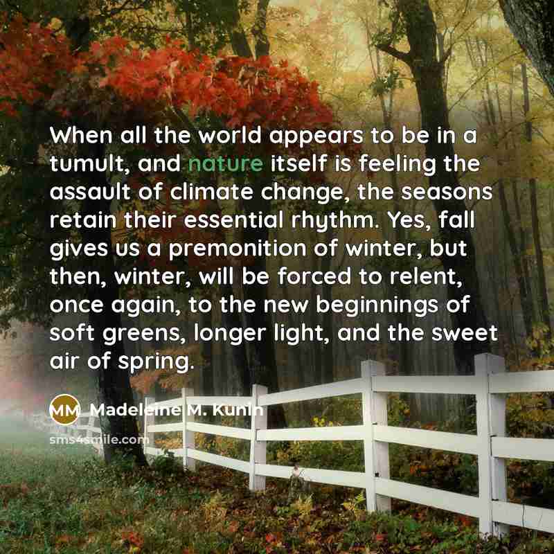 “When all the world appears to be in a tumult,…” quote by Madeleine M. Kunin