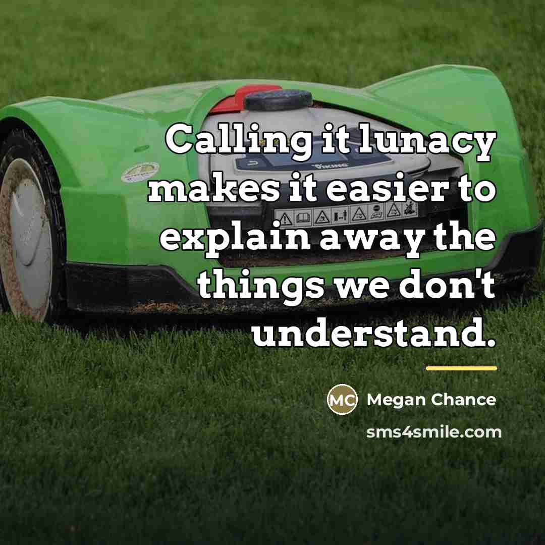 “Calling it lunacy makes it easier to explain away the…” quote by Megan Chance