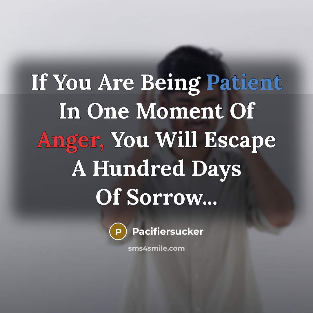 “If You Are Being Patient In One Moment Of Anger,…” quote by Pacifiersucker