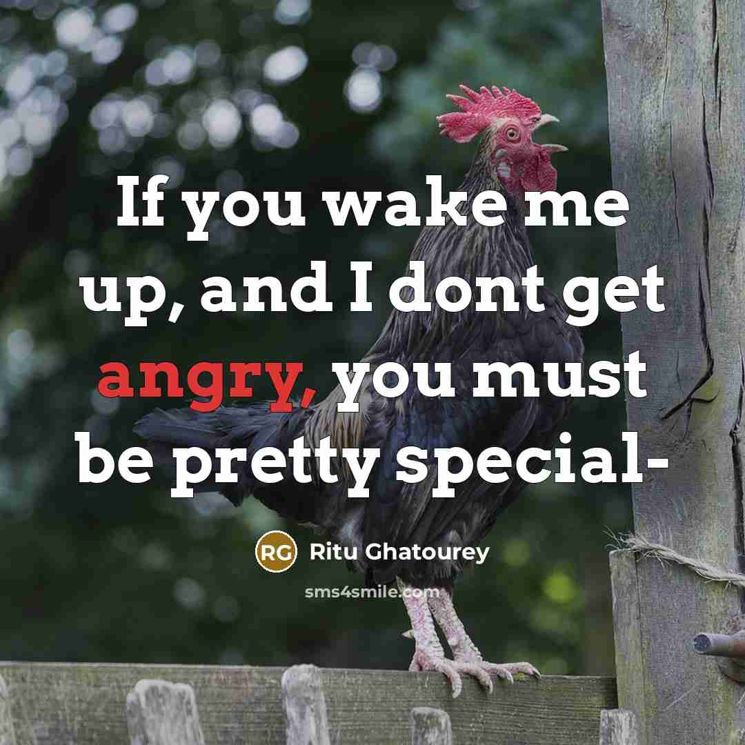 “If you wake me up, and I dont get angry,…” quote by Ritu Ghatourey