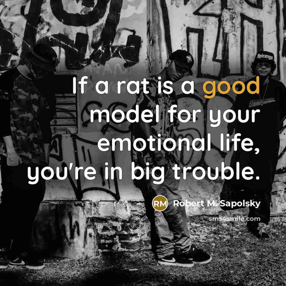 “If a rat is a good model for your emotional…” quote by Robert M. Sapolsky