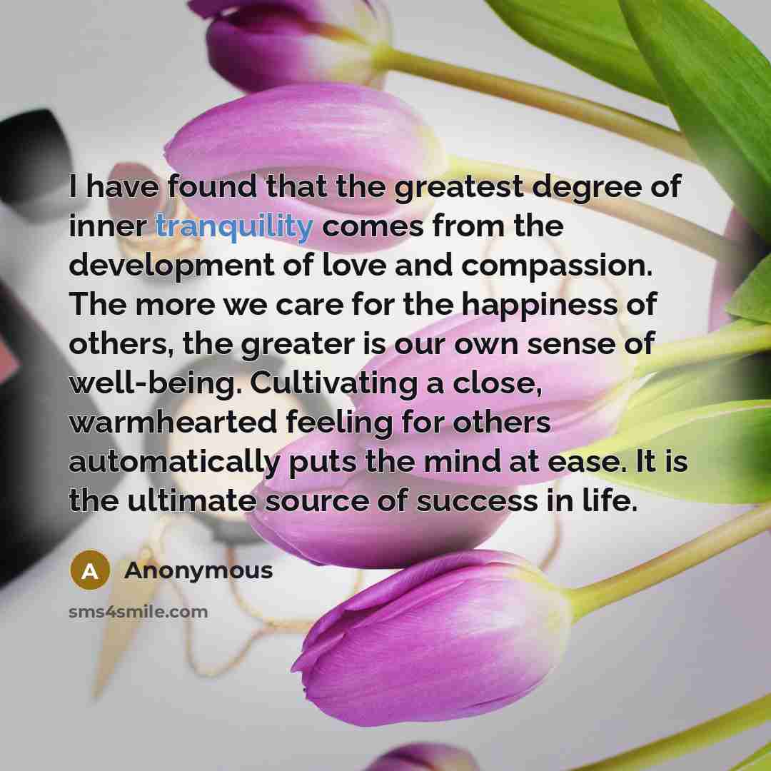 “I have found that the greatest degree of inner tranquility…” quote by Anonymous