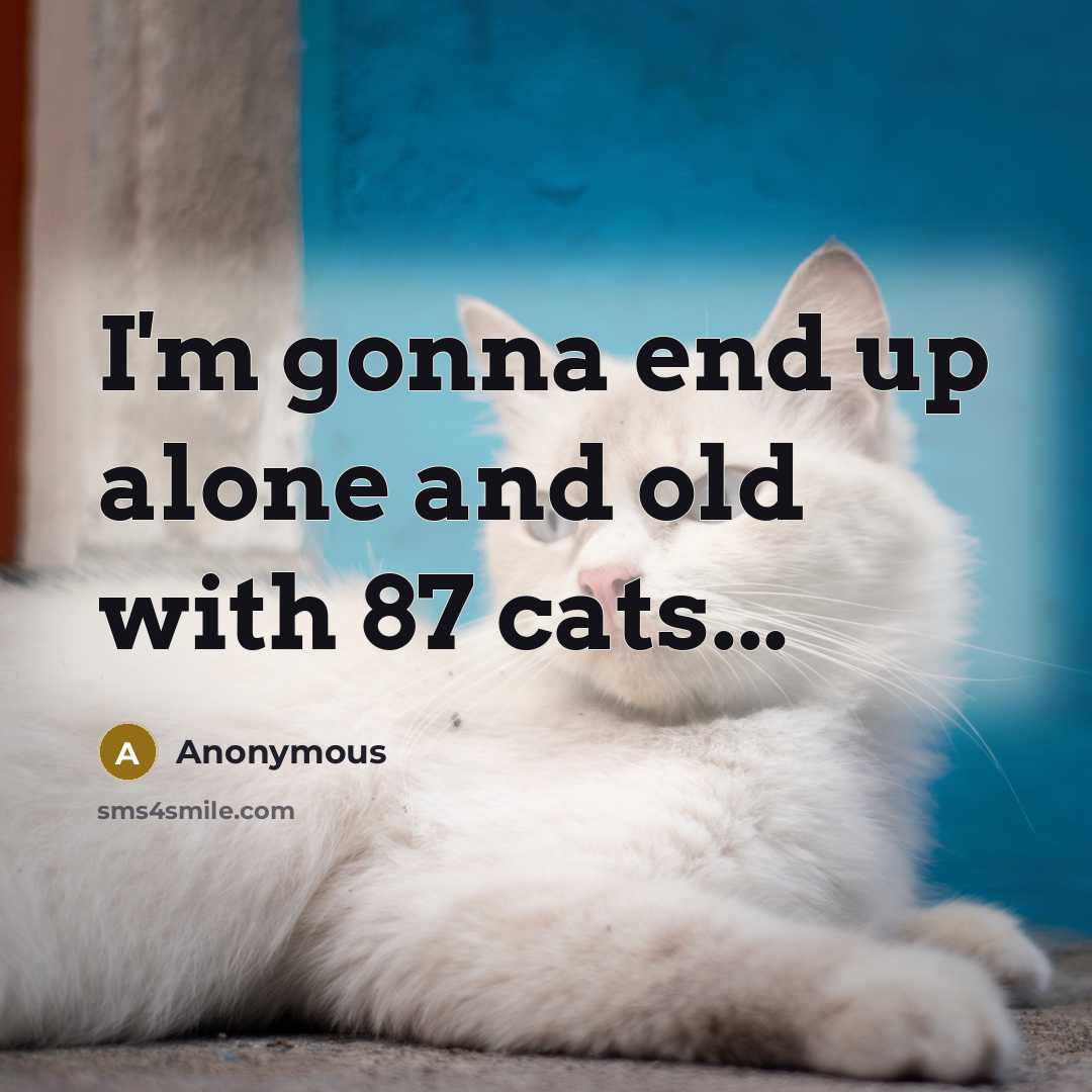 “I'm gonna end up alone and old with 87 cats...” quote by Anonymous