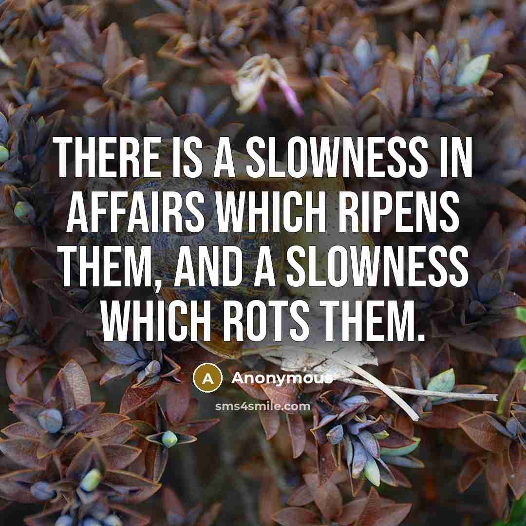 “There is a slowness in affairs which ripens them, and…” quote by Anonymous