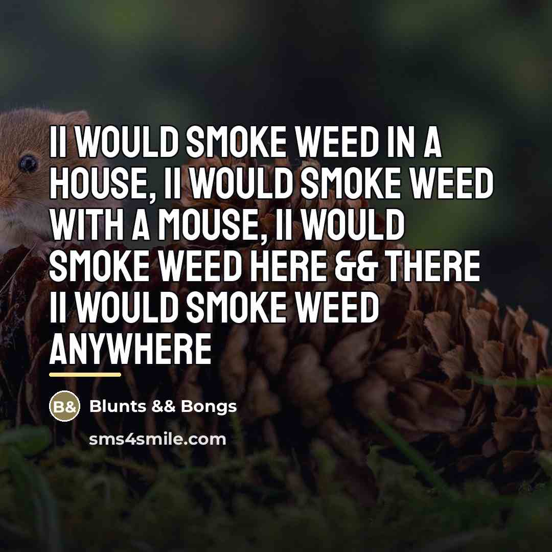 “Ii Would Smoke Weed In A House, Ii Would Smoke…” quote by Blunts && Bongs