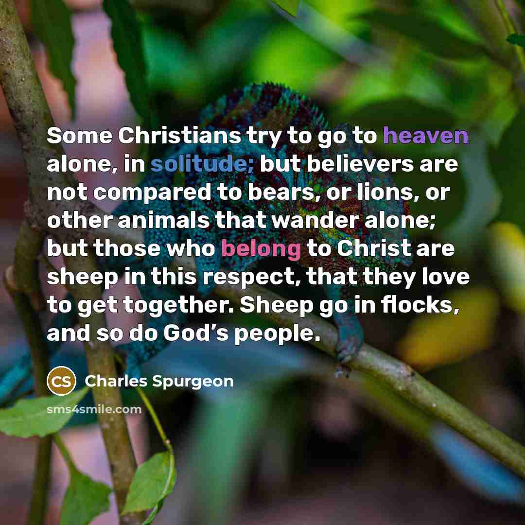 “Some Christians try to go to heaven alone, in solitude;…” quote by Charles Spurgeon