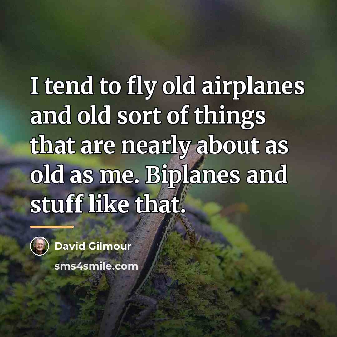 “I tend to fly old airplanes and old sort of…” quote by David Gilmour