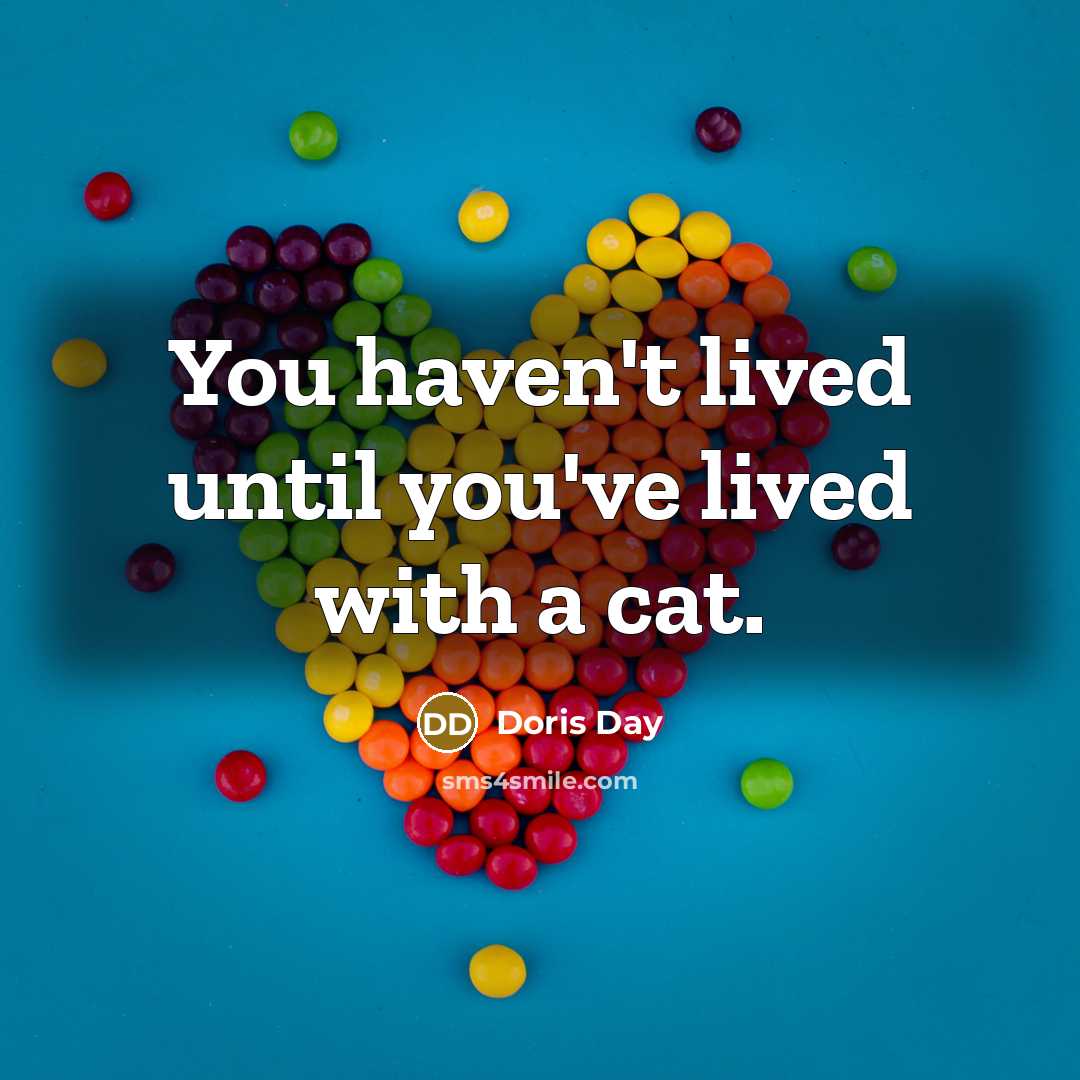 “You haven't lived until you've lived with a cat.…” quote by Doris Day