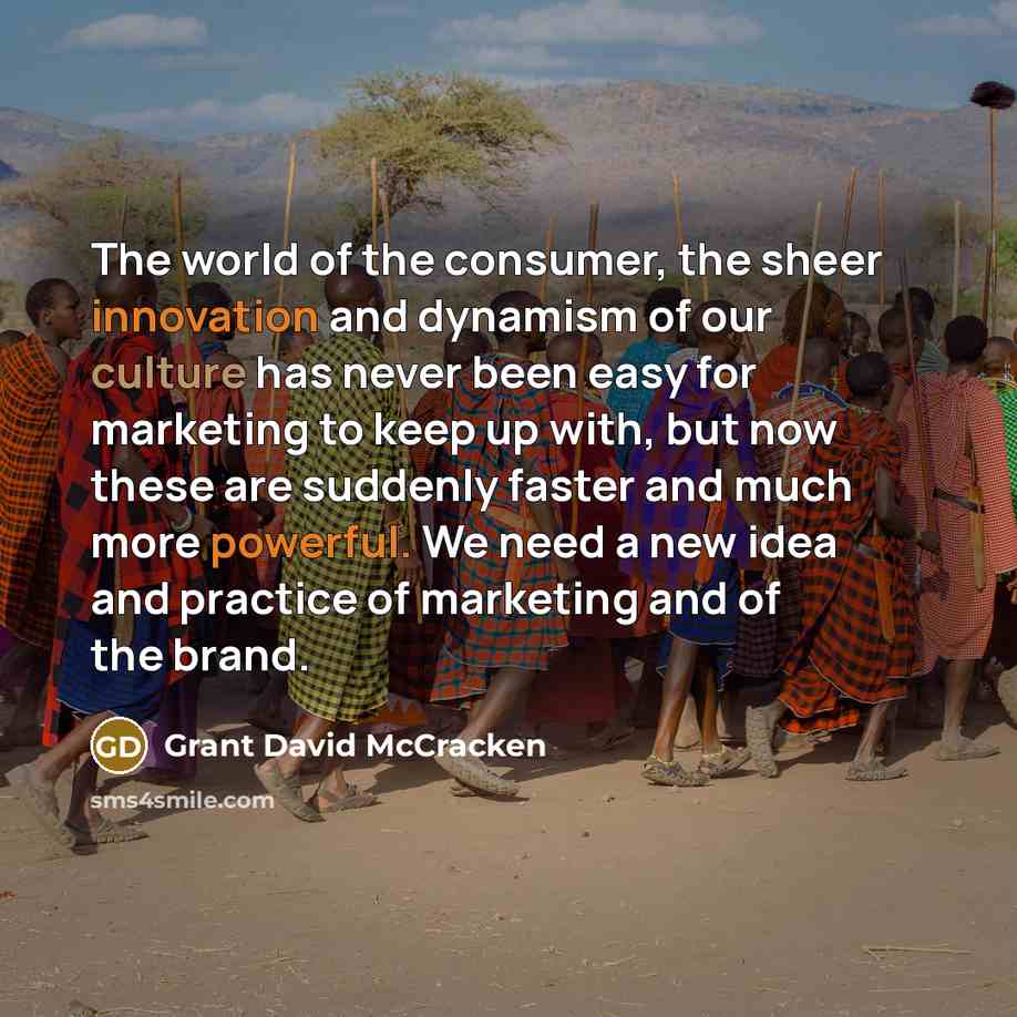 “The world of the consumer, the sheer innovation and dynamism…” quote by Grant David McCracken