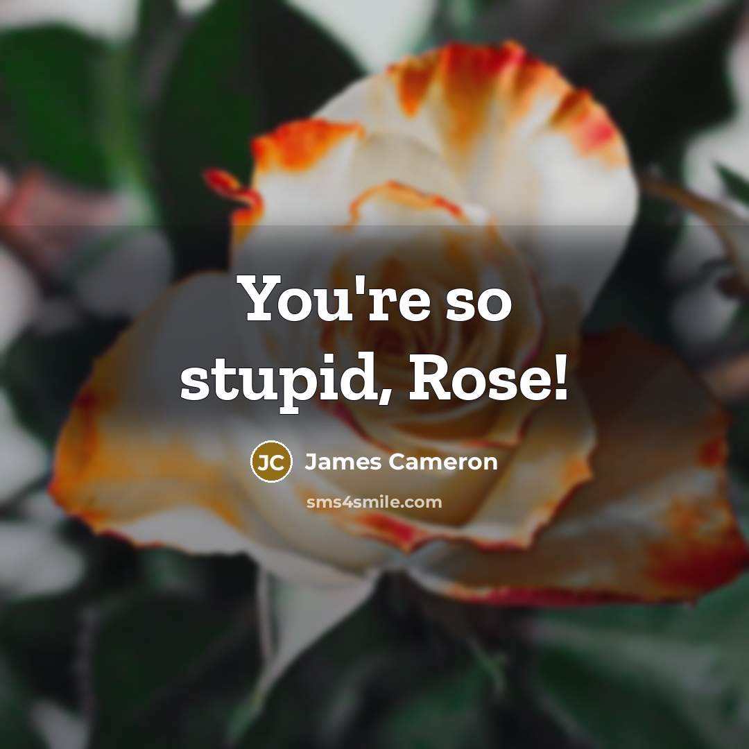 “You're so stupid, Rose!…” quote by James Cameron