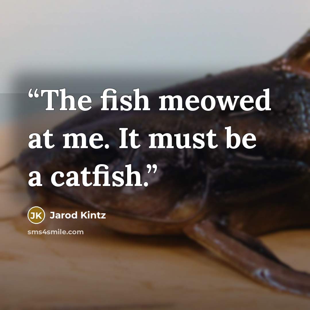 “The fish meowed at me. It must be a catfish.” quote by Jarod Kintz