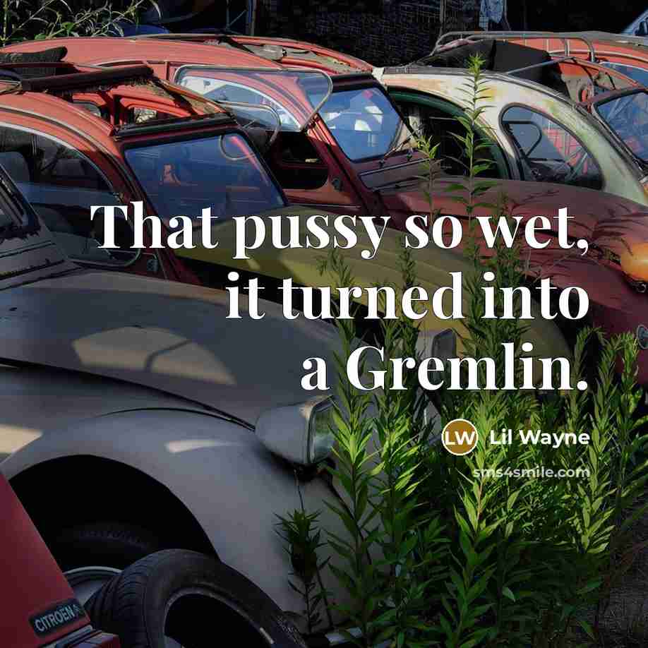 “That pussy so wet, it turned into a Gremlin.…” quote by Lil Wayne
