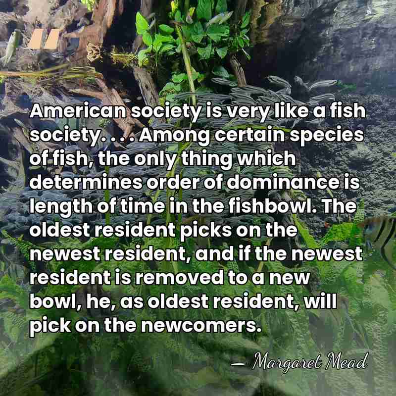 American society is very like a fish society. . . . Among&hellip; - Margaret Mead
