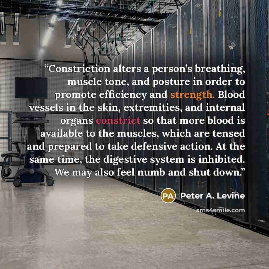 “Constriction alters a person’s breathing, muscle tone, and posture in order to promote efficiency and strength. Blood vessels in the skin, extremities, and internal organs constrict so that more blood is available to the muscles, which are tensed and prepared to take defensive action. At the same…” quote by Peter A. Levine