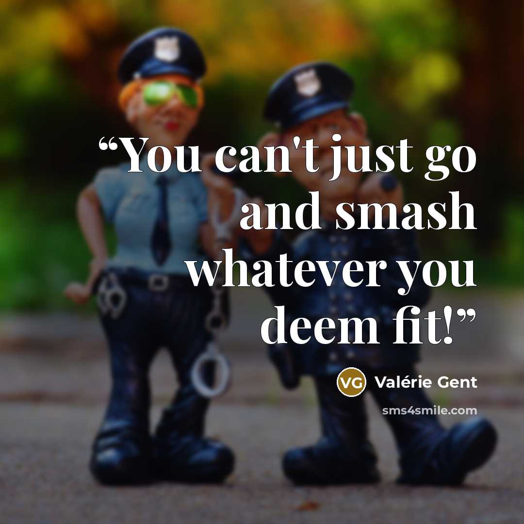 “You can't just go and smash whatever you deem fit!” quote by Valérie Gent