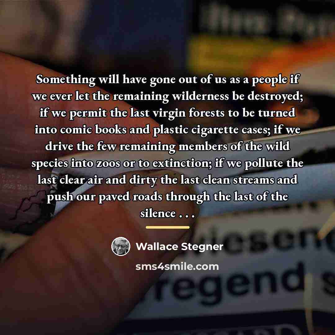 “Something will have gone out of us as a people…” quote by Wallace Stegner
