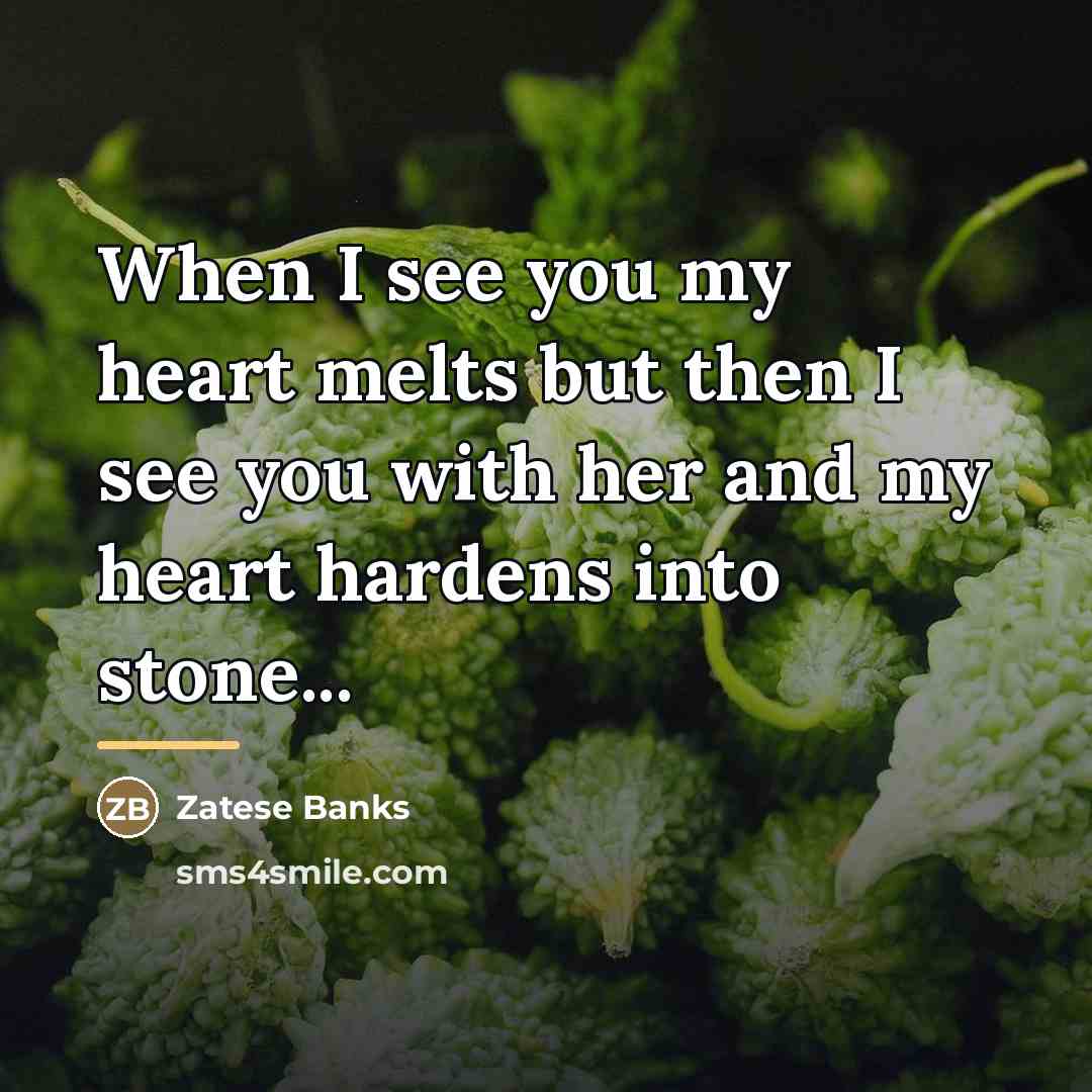 “When I see you my heart melts but then I…” quote by Zatese Banks
