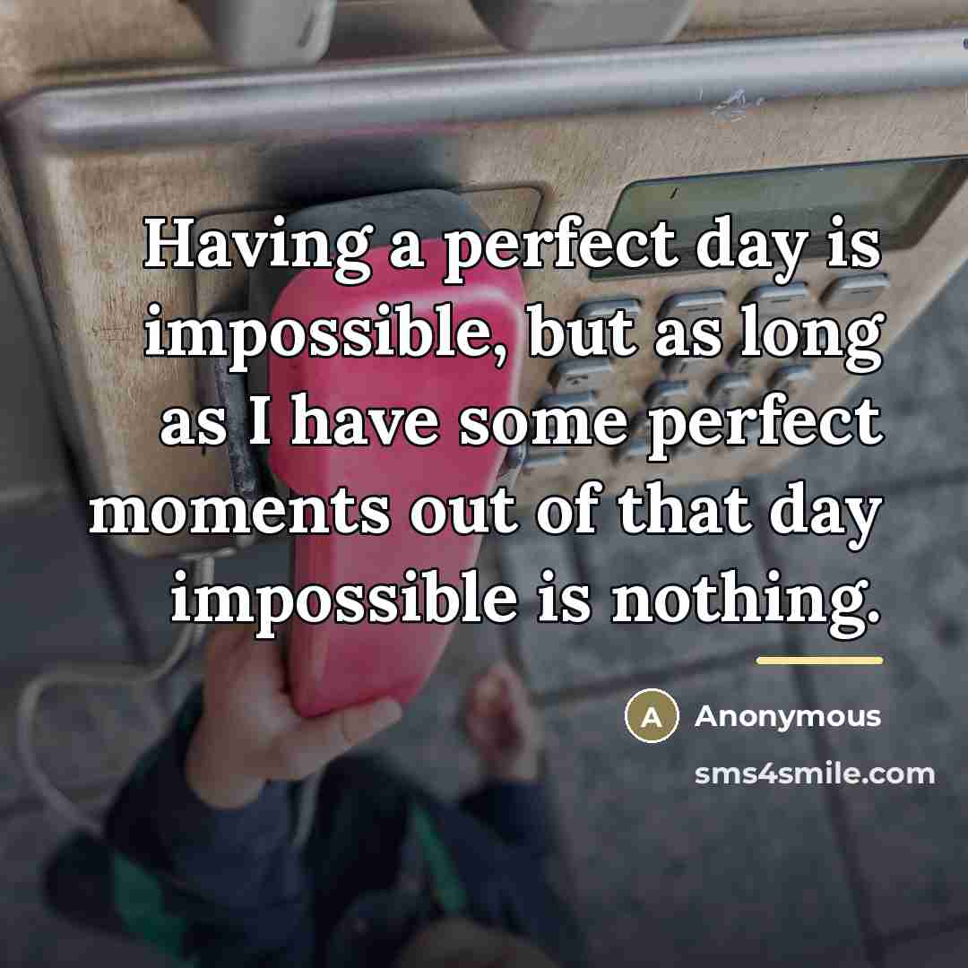 “Having a perfect day is impossible, but as long as…” quote by Anonymous