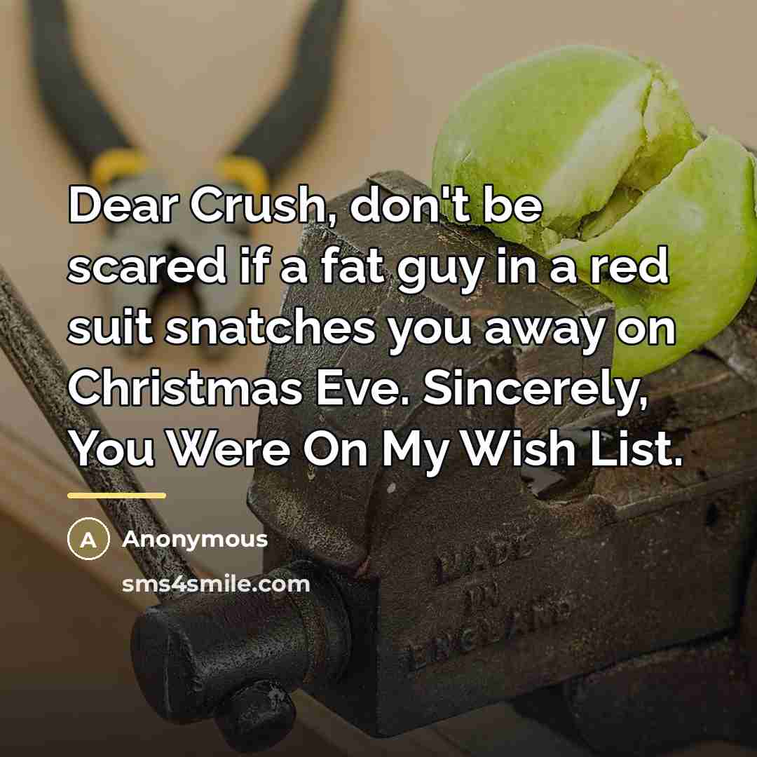 “Dear Crush, don't be scared if a fat guy in…” quote by Anonymous