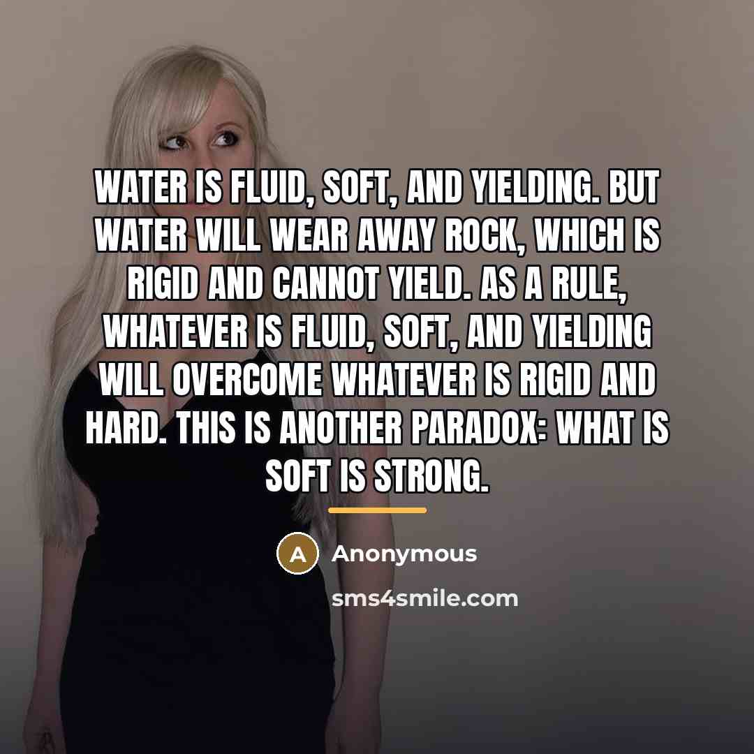 “Water is fluid, soft, and yielding. But water will wear…” quote by Anonymous