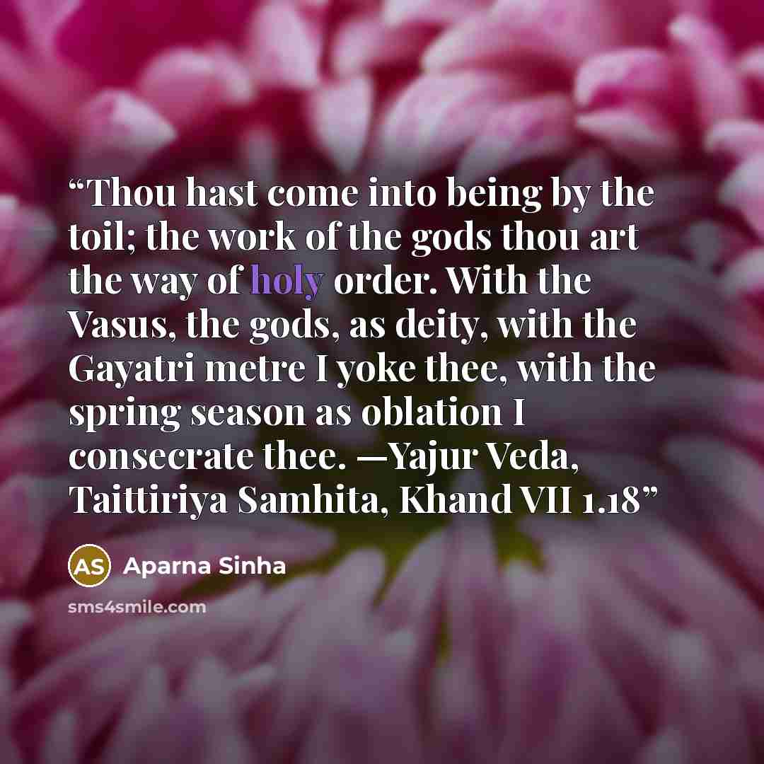 “Thou hast come into being by the toil; the work of the gods thou art the way of holy order. With the Vasus, the gods, as deity, with the Gayatri metre I yoke thee, with the spring season as oblation I consecrate thee. —Yajur Veda, Taittiriya Samhita, Khand VII 1.18” quote by Aparna Sinha