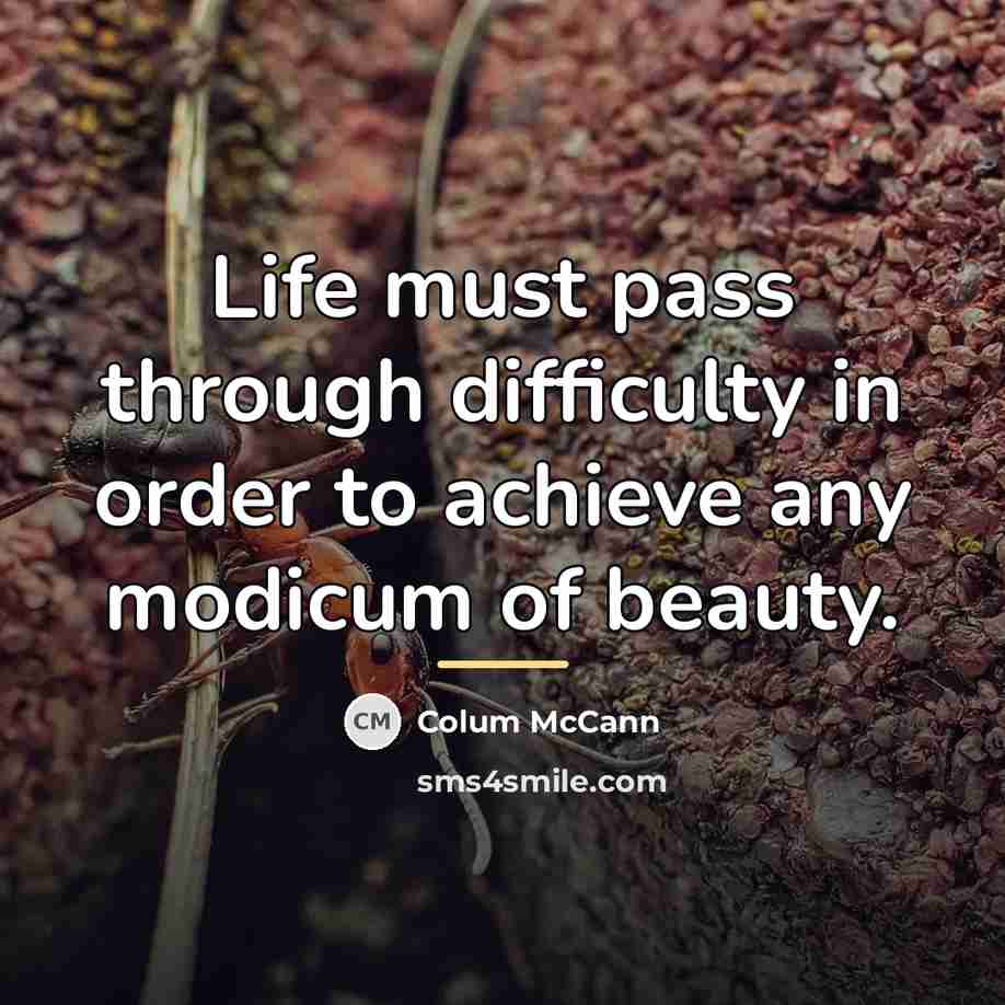 “Life must pass through difficulty in order to achieve any…” quote by Colum McCann