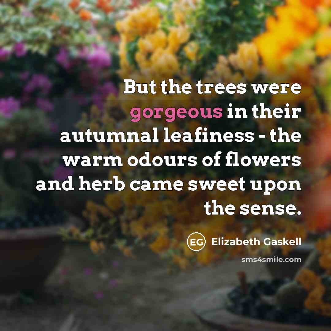 “But the trees were gorgeous in their autumnal leafiness -…” quote by Elizabeth Gaskell