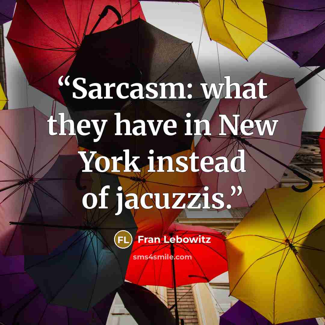 “Sarcasm: what they have in New York instead of jacuzzis.” quote by Fran Lebowitz