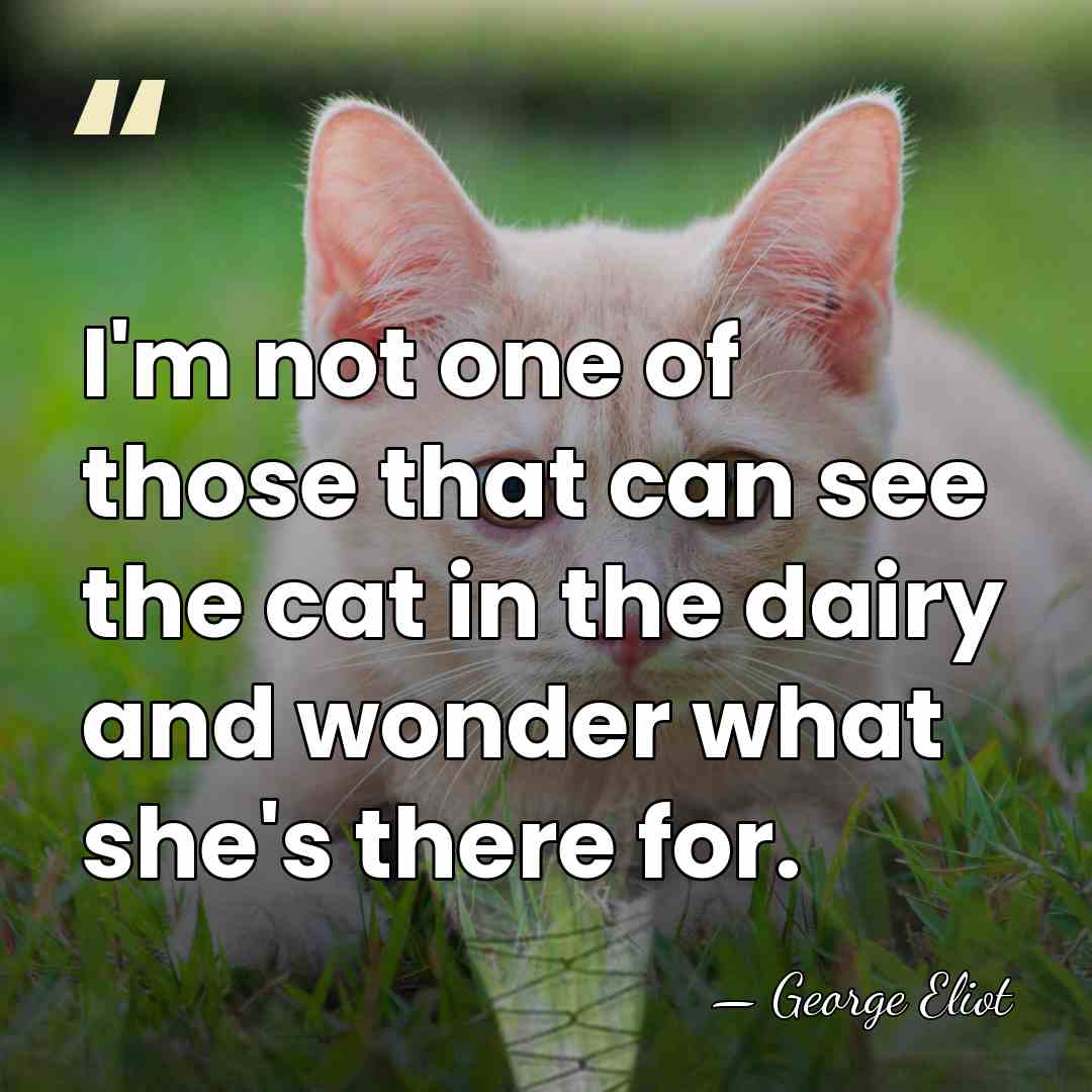 I'm not one of those that can see the cat in the&hellip; - George Eliot