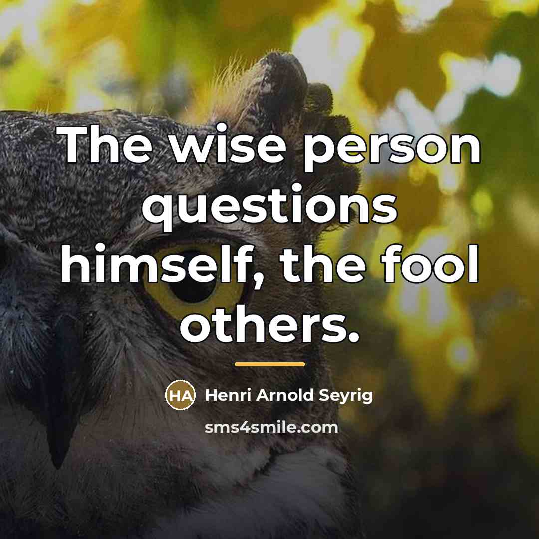 “The wise person questions himself, the fool others.…” quote by Anonymous