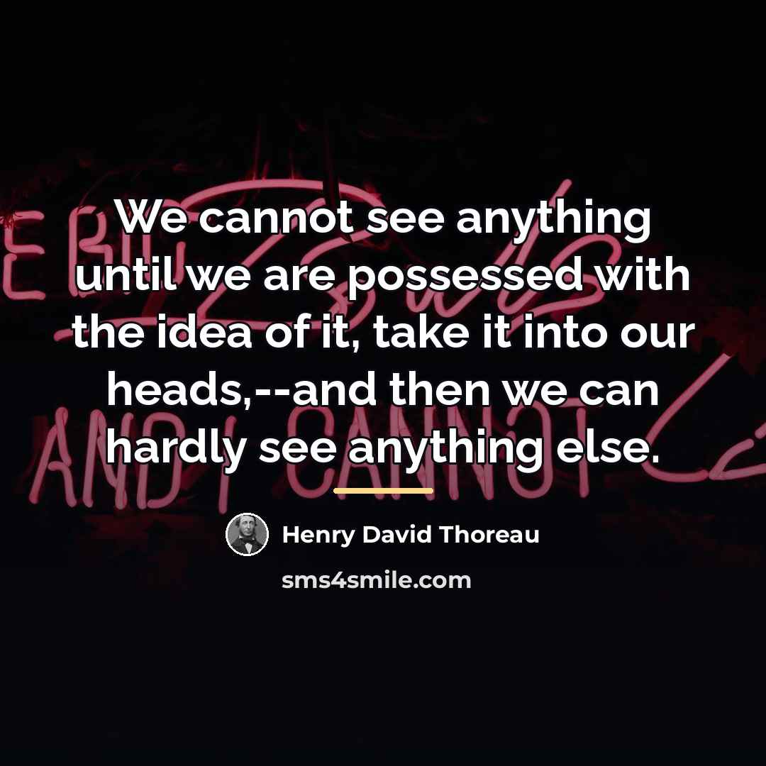 “We cannot see anything until we are possessed with the…” quote by Henry David Thoreau