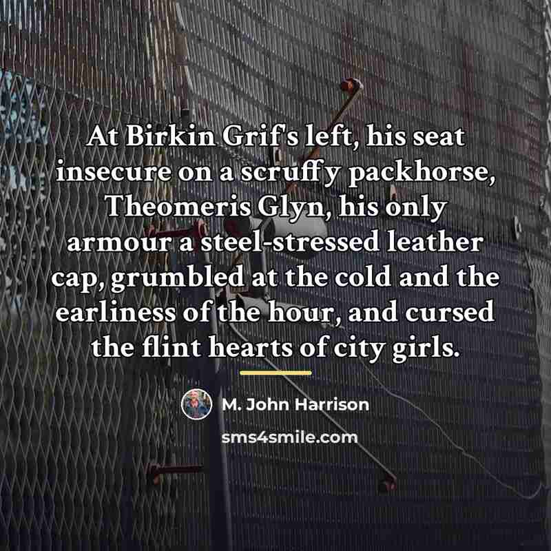 “At Birkin Grif's left, his seat insecure on a scruffy…” quote by M. John Harrison
