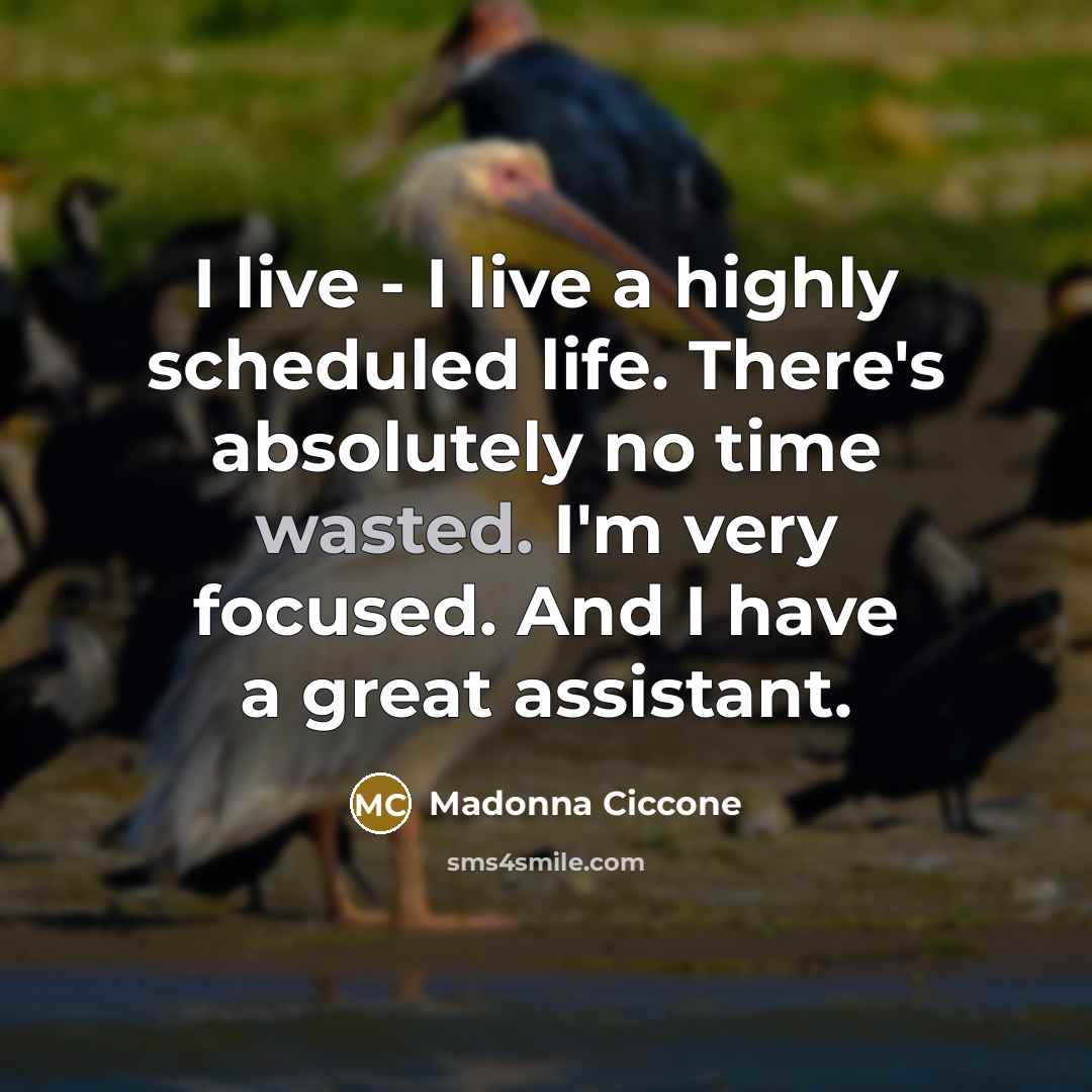 “I live - I live a highly scheduled life. There's…” quote by Madonna Ciccone