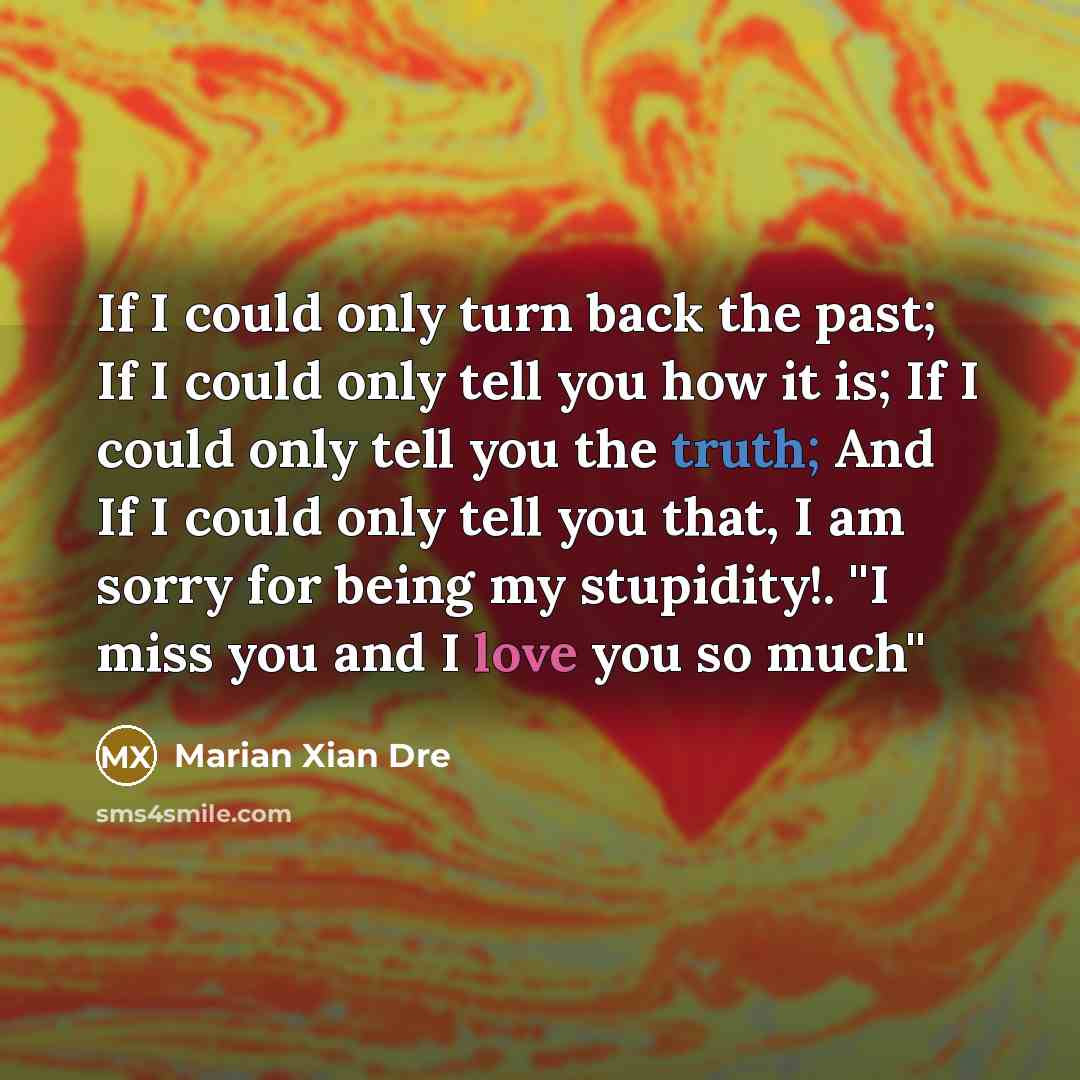 “If I could only turn back the past; If I could only tell you how it is; If I could only tell you the truth; And If I could only tell you that, I am sorry for being my stupidity!. ''I miss you and I love you so much''” quote by Marian Xian Dre