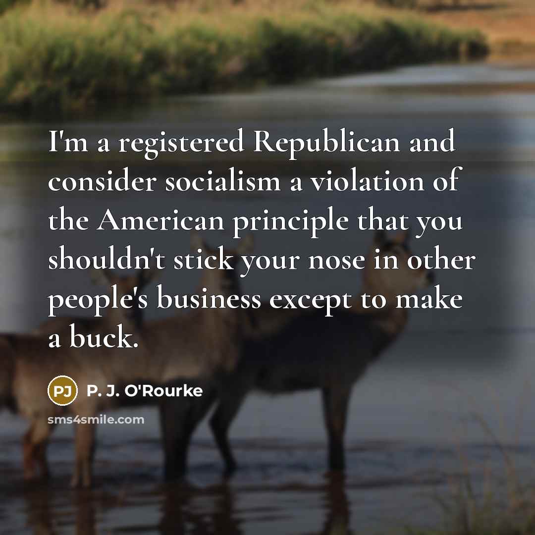 “I'm a registered Republican and consider socialism a violation of…” quote by P. J. O'Rourke