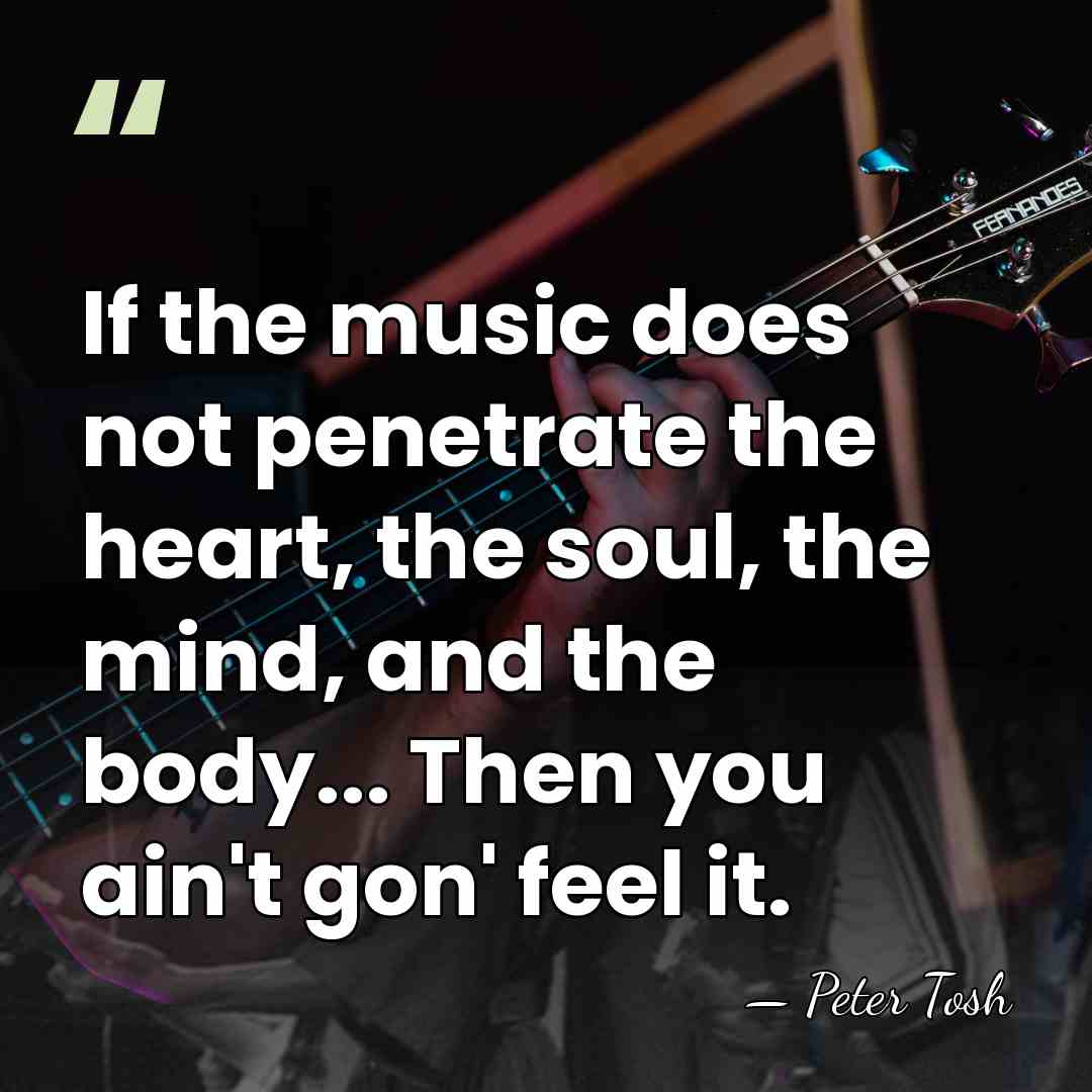 If the music does not penetrate the heart, the soul, the mind,&hellip; - Peter Tosh
